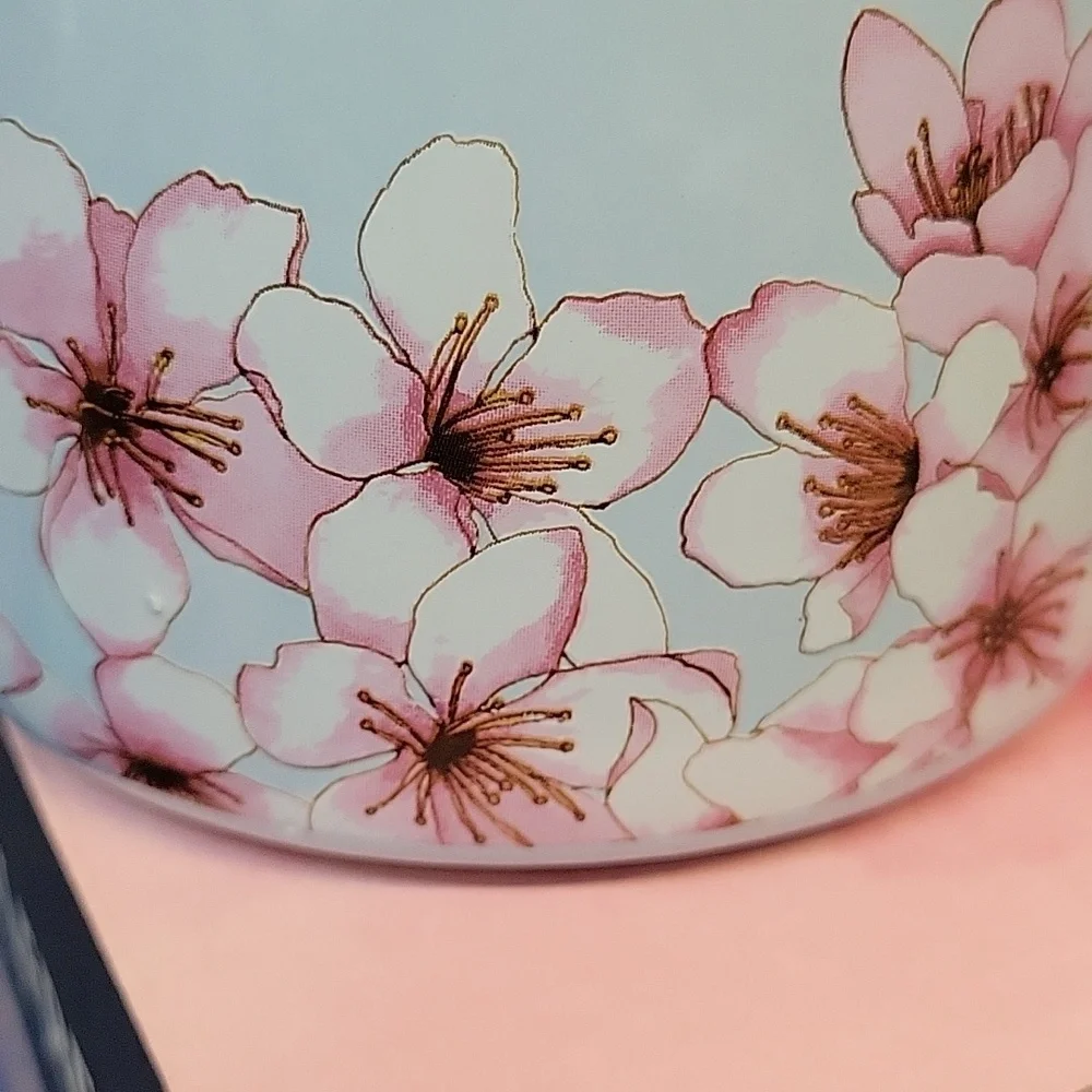 Alfred Light Blue Teapot with Pink Floral Ceramic & Stainless Steel 591ml New